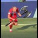 Eliminação do Brasil na Copa do Mundo gera memes na web; confira