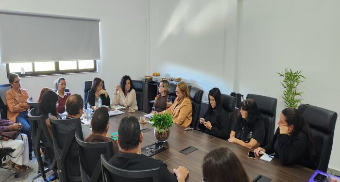 Câmara sedia reunião sobre mulheres, crianças e adolescentes vítimas de violência no município