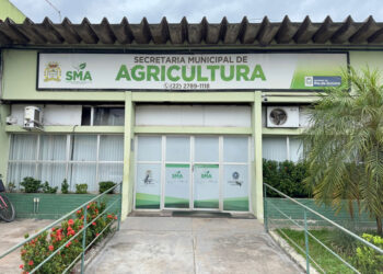 Brucelose: SFI alcança a segunda maior cobertura vacinal do Estado