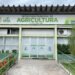Brucelose: SFI alcança a segunda maior cobertura vacinal do Estado