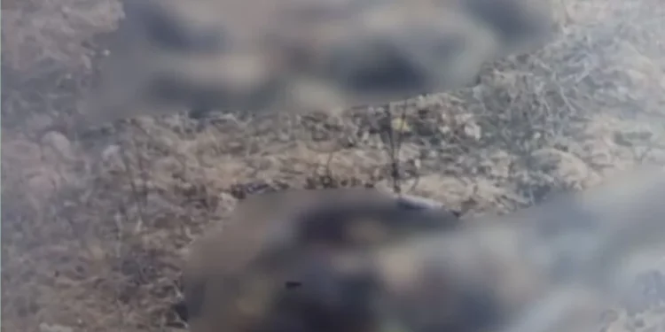 Corpo carbonizado é encontrado em área de mata em Cambaíba, Campos dos Goytacazes