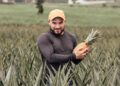 Agricultura mais forte impulsiona desenvolvimento e amplia oportunidades em São Francisco de Itabapoana