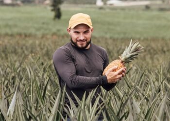 Agricultura mais forte impulsiona desenvolvimento e amplia oportunidades em São Francisco de Itabapoana