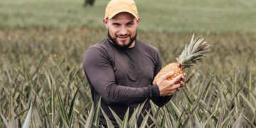 Agricultura mais forte impulsiona desenvolvimento e amplia oportunidades em São Francisco de Itabapoana
