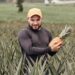 Agricultura mais forte impulsiona desenvolvimento e amplia oportunidades em São Francisco de Itabapoana